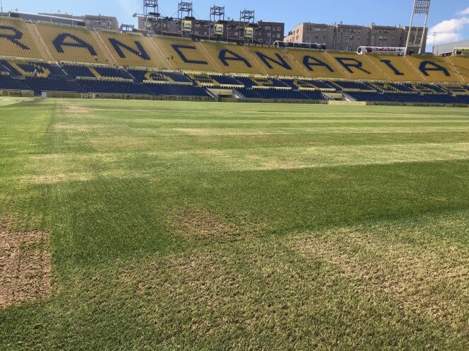 El césped del Estadio de Gran Canaria comienza a replantearse 